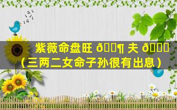 紫薇命盘旺 🐶 夫 🐛 （三两二女命子孙很有出息）